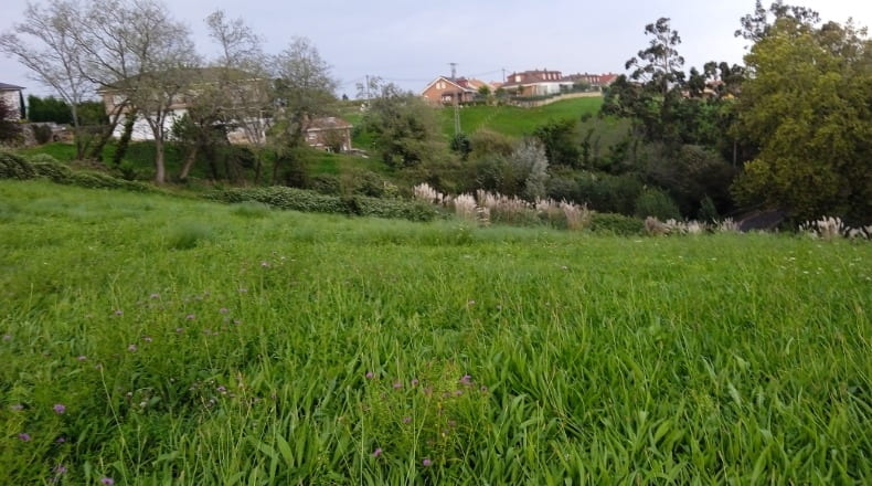 Cantabria - Camargo - 5800m2