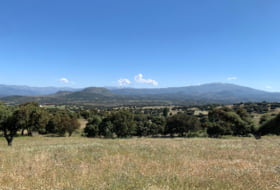 Cespedosa de Tormes 74241&nbsp;m² 