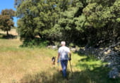 Non-developable land for sale on Calle Pilar, Cespedosa de Tormes, ref: TR110181 photo