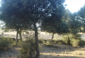Cespedosa de Tormes 74241&nbsp;m² 