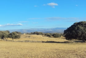 Cespedosa de Tormes 74241&nbsp;m² 