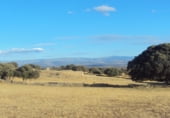 Non-developable land for sale on Calle Pilar, Cespedosa de Tormes, ref: TR110181 photo