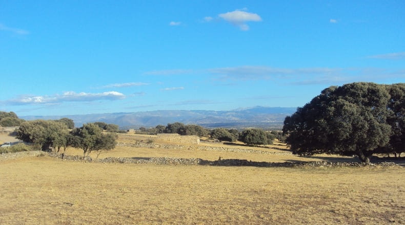Salamanca - Cespedosa de Tormes - 74241m2