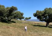 Non-developable land for sale on Calle Pilar, Cespedosa de Tormes, ref: TR110181 photo