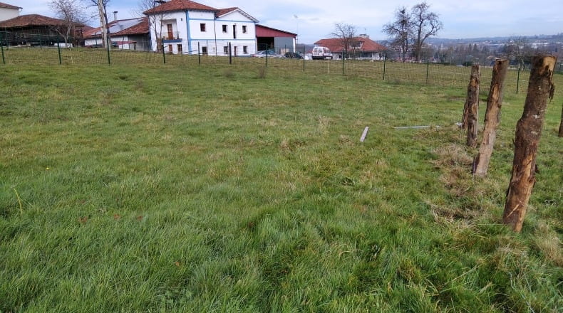 Asturias - Oviedo - 1182m2