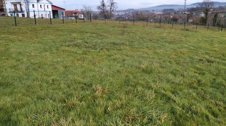 Asturias - Oviedo - 1182m2