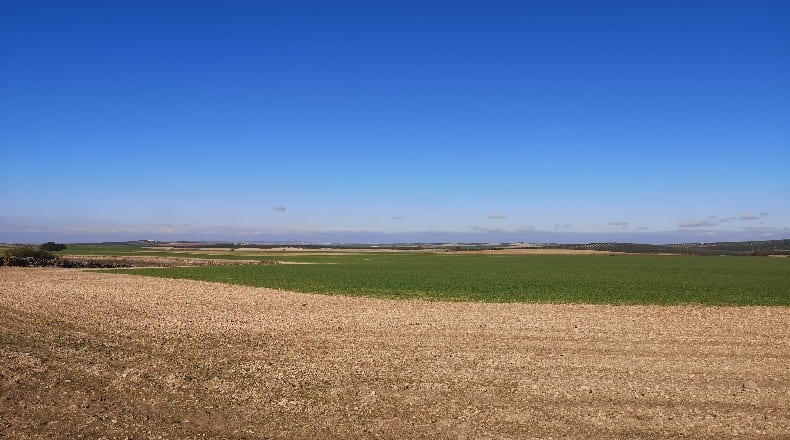 Sevilla - Osuna - 172802m2