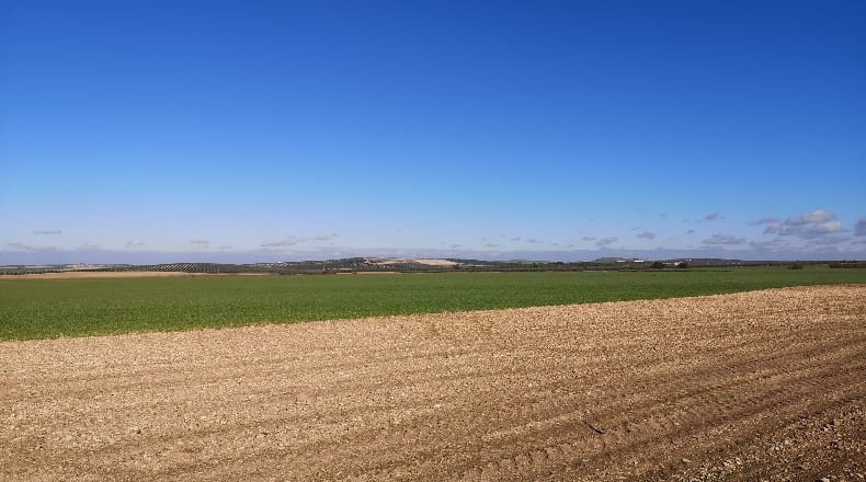 Sevilla - Osuna - 172802m2