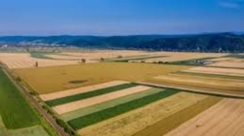 Zaragoza - Zaragoza - 600000m2