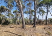 Land suitable for development for sale on Carrer del Gamarús, Sant Quirze del Vallès, ref: TR109981 photo