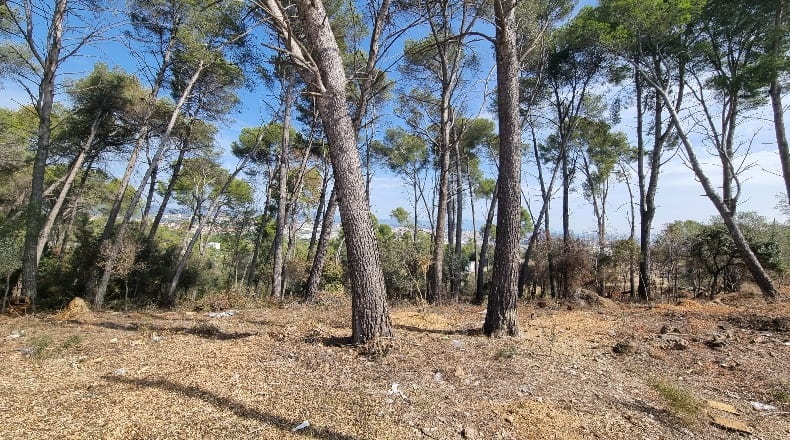 Barcelona - Sant Quirze del Vallès - 2000m2