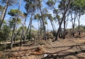 Land suitable for development for sale on Carrer del Gamarús, Sant Quirze del Vallès, ref: TR109981 photo