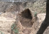 Terreny amb magatzem en venda a la GI-622, Sant Mori, ref.: TR110192 foto