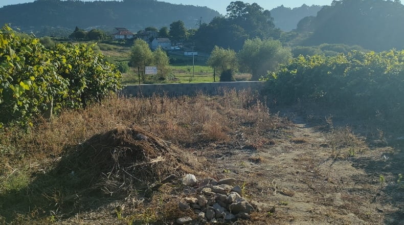 Pontevedra - Viñas Blancas - 437m2