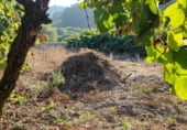 Sòl urbà en venda a la Viñas Blancas, Viñas Brancas, ref.: TR110259 foto