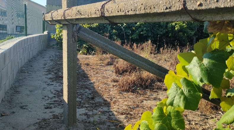 Pontevedra - Viñas Blancas - 437m2
