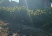 Sòl urbà en venda a la Viñas Blancas, Viñas Brancas, ref.: TR110259 foto