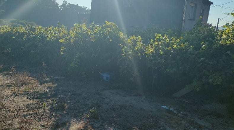 Pontevedra - Viñas Blancas - 437m2