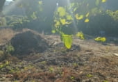 Sòl urbà en venda a la Viñas Blancas, Viñas Brancas, ref.: TR110259 foto