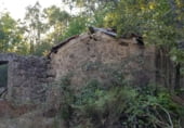 Rural estate for sale on DSA-262, San Martín del Castañar, ref: TR110269 photo
