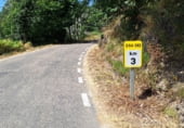 Rural estate for sale on DSA-262, San Martín del Castañar, ref: TR110269 photo