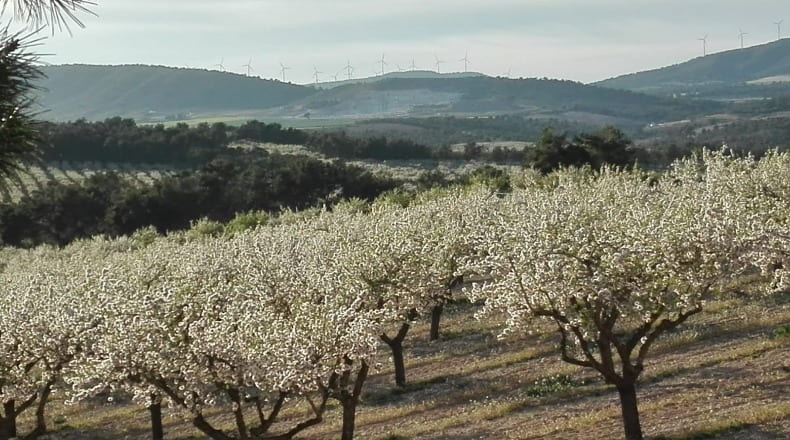 Valencia - Fuente la Higuera - 260000m2