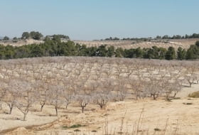 La Font de la Figuera 260000&nbsp;m²