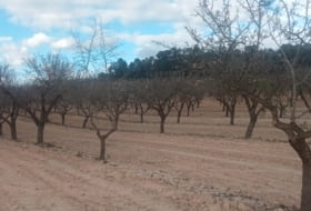 La Font de la Figuera 260000&nbsp;m²