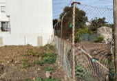 Sòl urbà en venda a la Calle Acebuche, Benalup-Casas Viejas, ref.: TR110356 foto