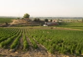 Industrial warehouse for sale on EX-392, Collado de la Vera, ref: TR110365 photo