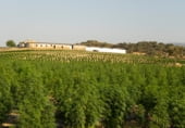 Industrial warehouse for sale on EX-392, Collado de la Vera, ref: TR110365 photo
