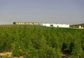 Industrial warehouse for sale on EX-392, Collado de la Vera, ref: TR110365 photo