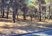 Sòl urbà en venda a la Calle Geria, Tordesillas, ref.: TR110395 foto