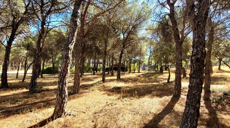 Valladolid - Tordesillas - 1910m2