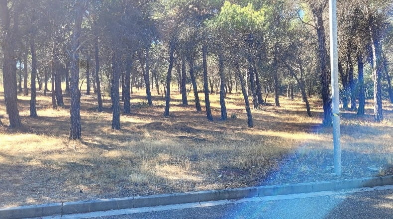 Valladolid - Tordesillas - 1910m2