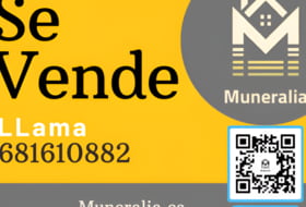 Muneralia foto