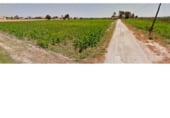 Industrial warehouse for sale on Camino Lo Perpén, Callosa de Segura, ref: TR110412 photo