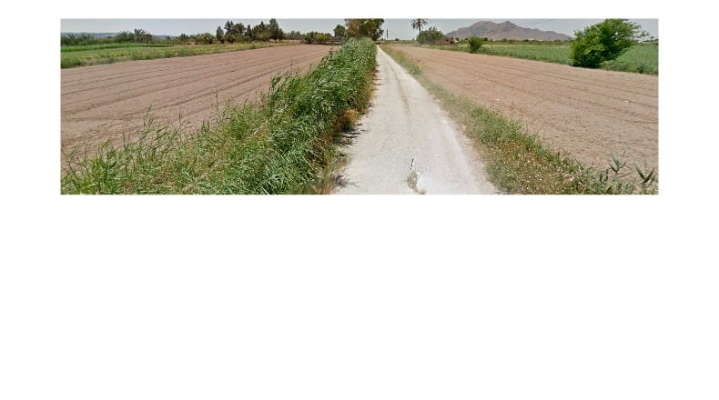 Alicante - Callosa de Segura - 20000m2