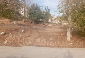 Alcaudete 327&nbsp;м²