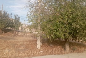 Alcaudete 327&nbsp;м²