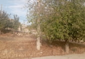 Suelo urbano en venta en la Plaza Leandro Mata, Alcaudete, ref: TR110416 foto