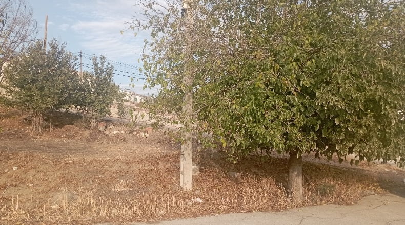 Jaen - Alcaudete - 327m2