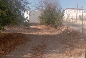 Alcaudete 327&nbsp;м²