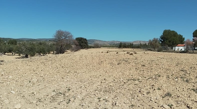 Alicante - Biar - 38226m2