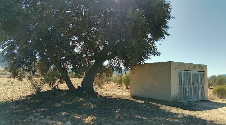 Alicante - Biar - 38226m2