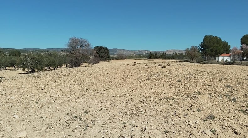 Alicante - Biar - 38226m2