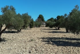 Foto 17
