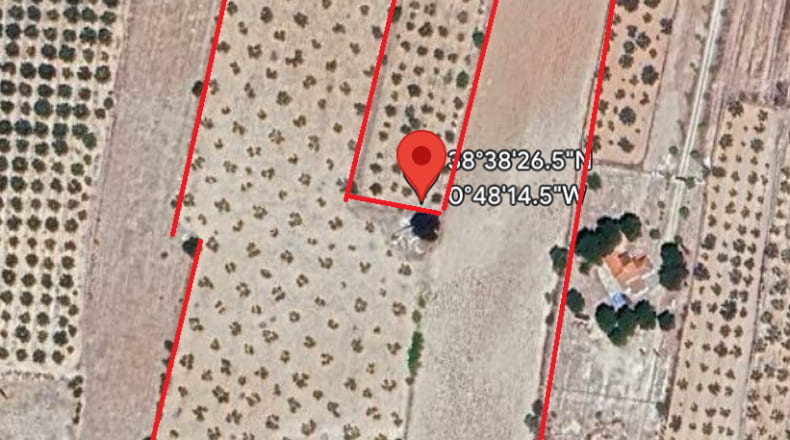 Alicante - Biar - 38226m2