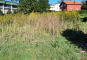 Parcela urbanizable en venta en la Rúa Polideportiva, Zas, ref: TR277910 foto
