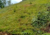 Land suitable for development for sale on Fontouria, San Cristóbal, ref: TR110436 photo